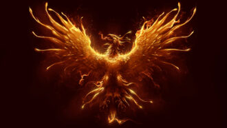 An illustrated orange and red phoenix spreads its wings against a black background. A wisp of flame emerges from its mouth. A small fire smolders below it.